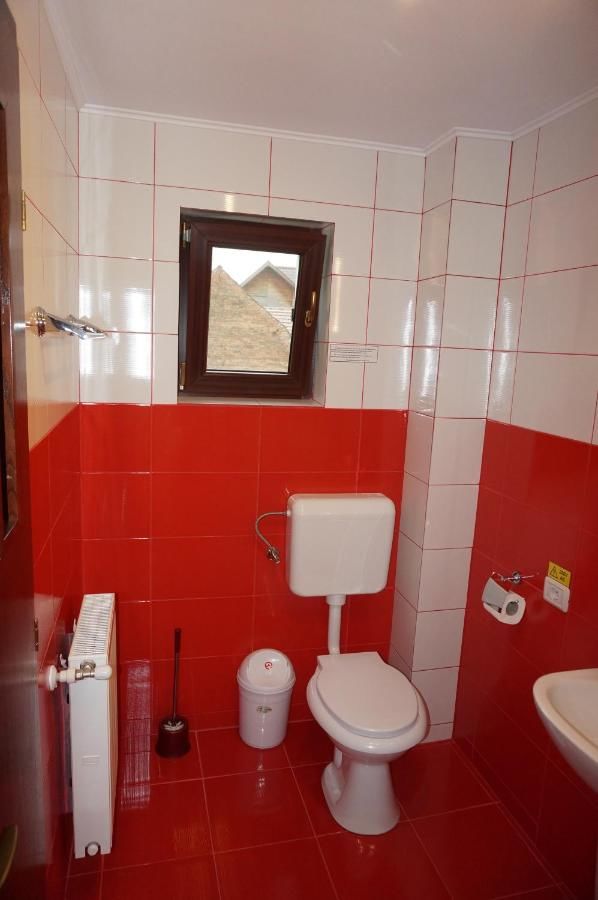 Гостевой дом Amedeia Бран