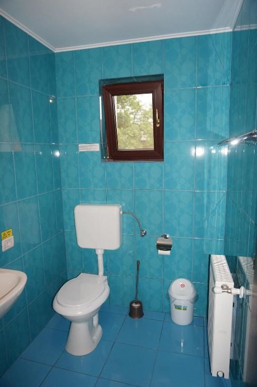 Гостевой дом Amedeia Бран