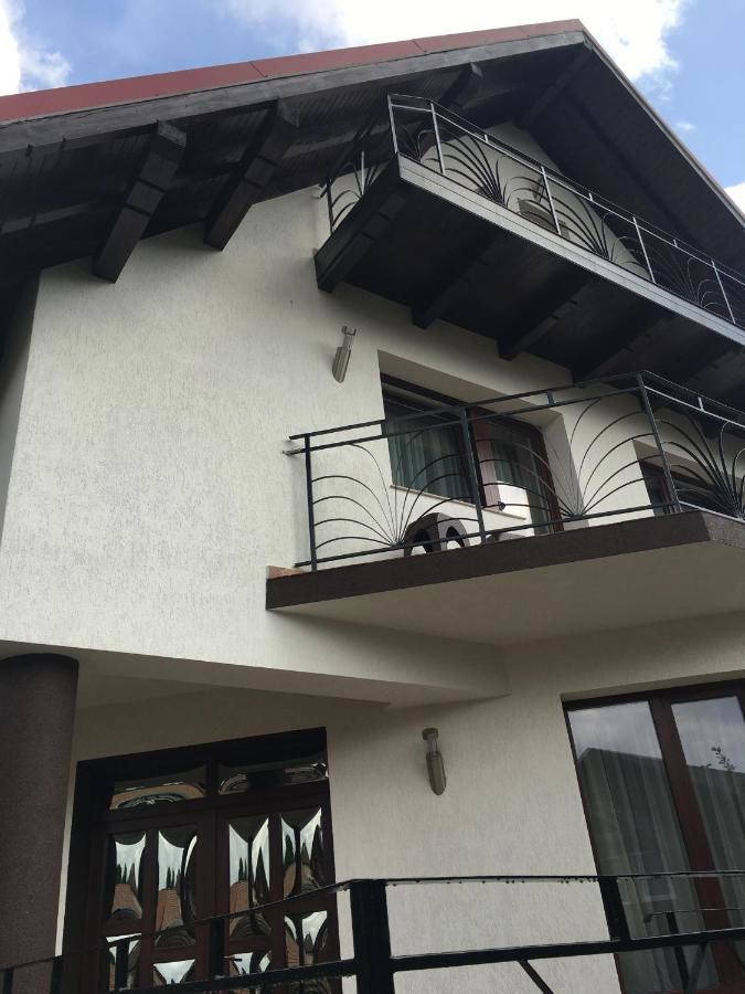 Гостевой дом Amedeia Бран-7