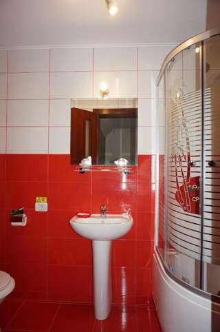 Гостевой дом Amedeia Бран Двухместный номер с 1 кроватью-3