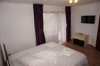 Гостевой дом Amedeia Бран Двухместный номер с 1 кроватью-11