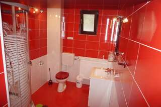 Гостевой дом Amedeia Бран Трехместный номер-2