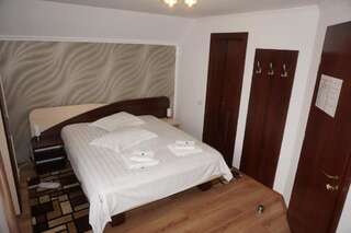 Гостевой дом Amedeia Бран Двухместный номер с 1 кроватью-17