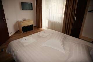 Гостевой дом Amedeia Бран Двухместный номер с 1 кроватью-18