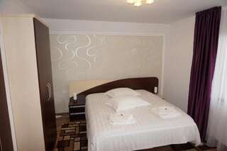 Гостевой дом Amedeia Бран Двухместный номер с 1 кроватью-21