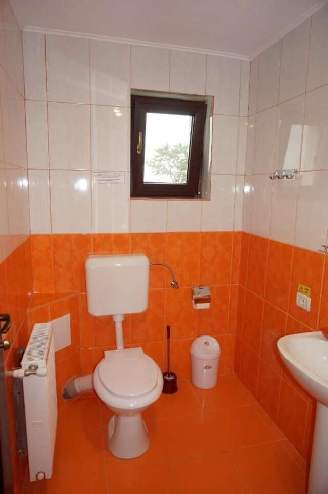 Гостевой дом Amedeia Бран-15